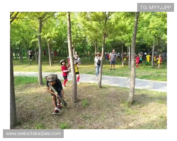 od真人体育官网全面解析游戏规则与技巧,帮助新手快速上手实现游戏胜利梦想